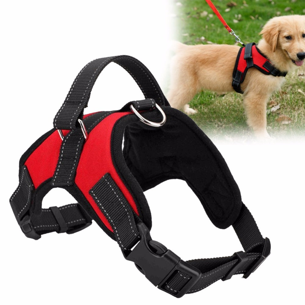 Fast Shipping Adjustable Dog Pet Harness