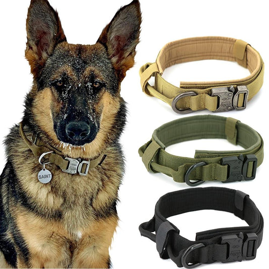 Fast Shipping Durable Military Tactical Dog Collar